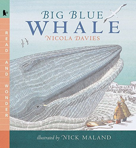 Big Blue Whale: Read and Wonder - 7224