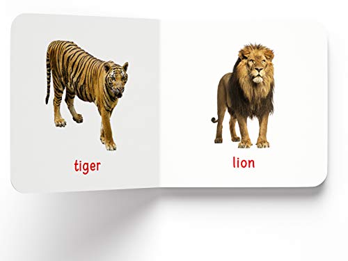 My First Book of Wild Animals: First Board Book