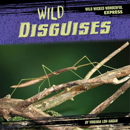 Wild Disguises (Wild Wicked Wonderful Express)