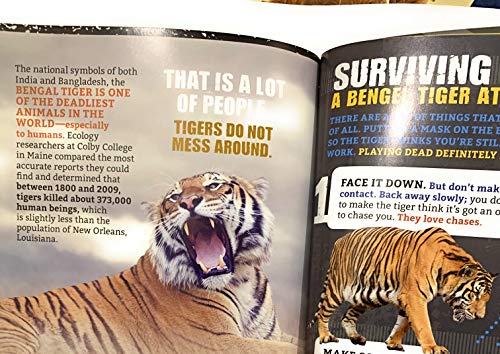 Animal Attack! a Wildlife Survival Guide