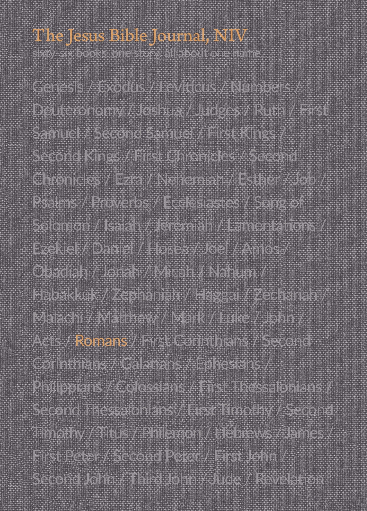 The Jesus Bible Journal, Romans, NIV, Paperback, Comfort Print
