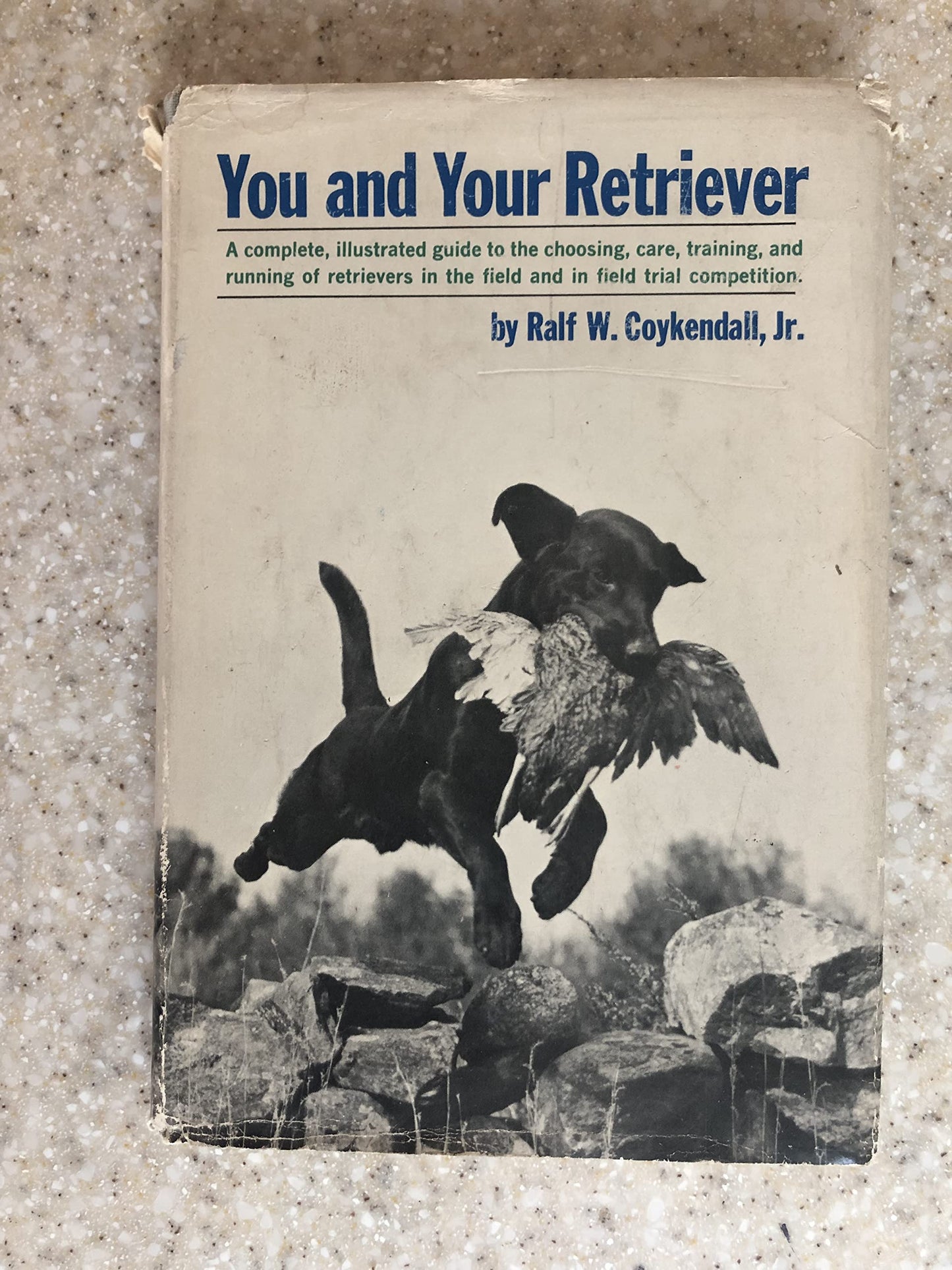 You and Your Retriever by Ralf W. Coykendall