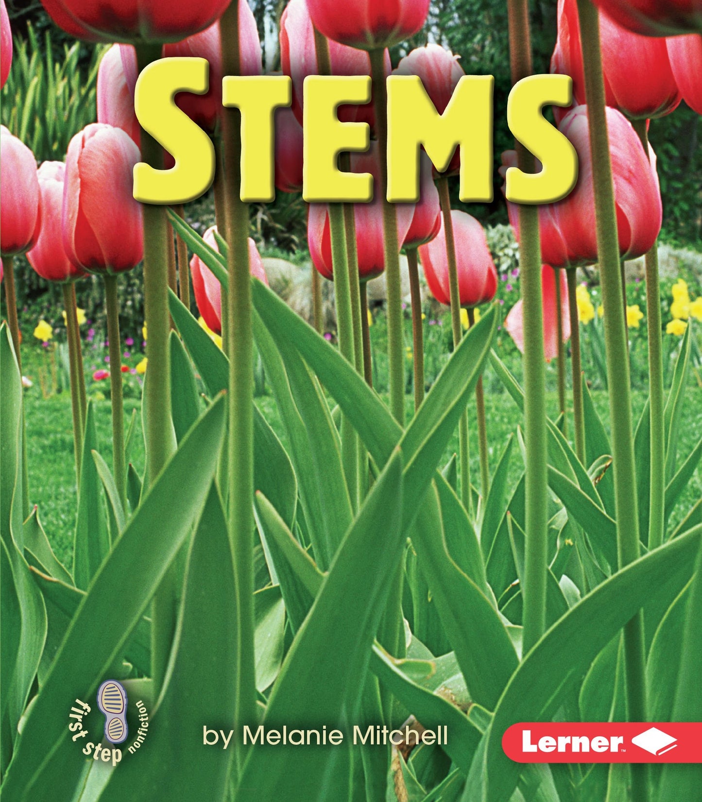 Stems (First Step Nonfiction ― Parts of Plants)