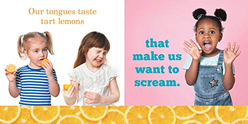 With My Little Nose (My First Senses Book) (MY FIRST BOOK OF)