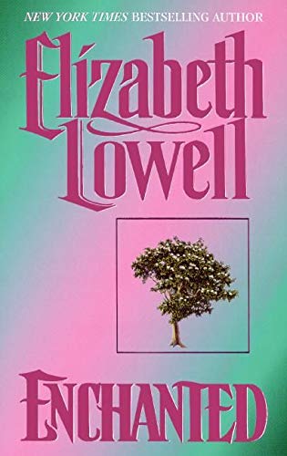 Enchanted (Medieval Series, 3)