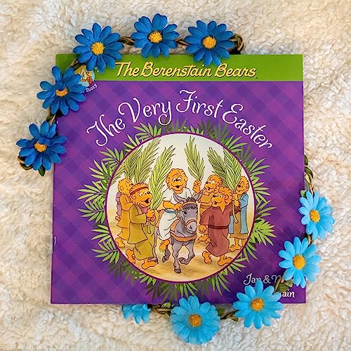 THE BERENSTAIN BEARS THE VERY FI