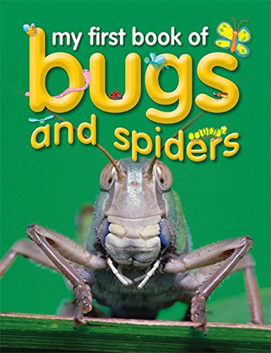 Bugs and Spiders