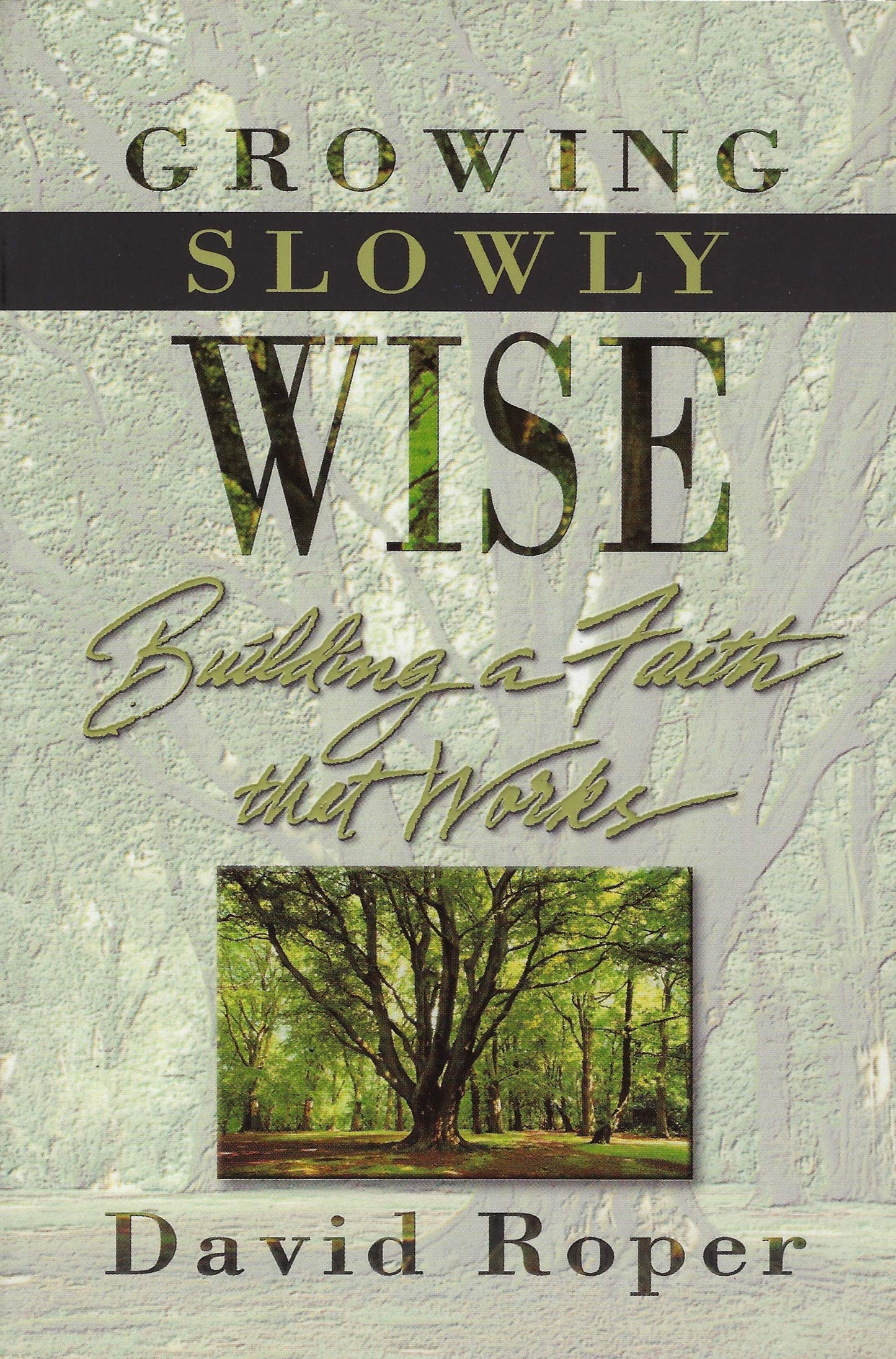 Growing Slowly Wise: Building a Faith that Works