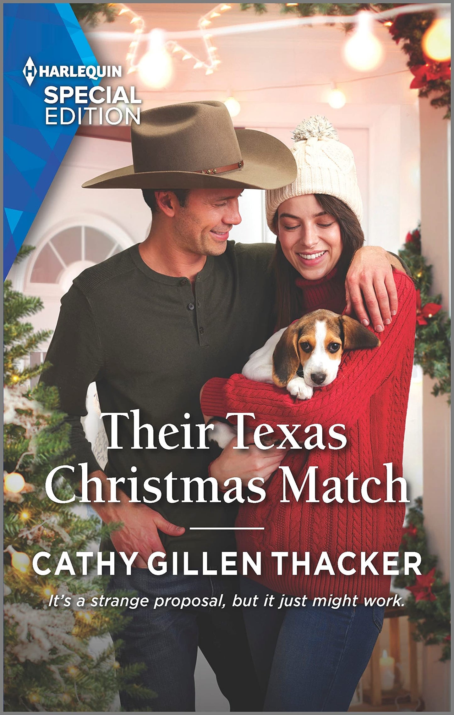 Their Texas Christmas Match (Lockharts Lost & Found, 7)