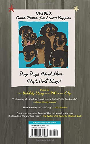 Dog Days in the City
