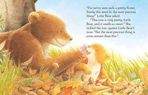 I Love You More Each Day (Padded Board Books for Babies)