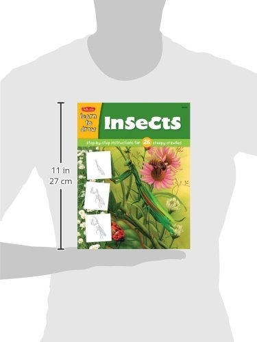 Learn to Draw Insects
