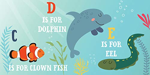 O Is for Ocean