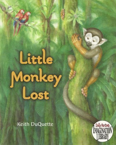 Little Monkey Lost