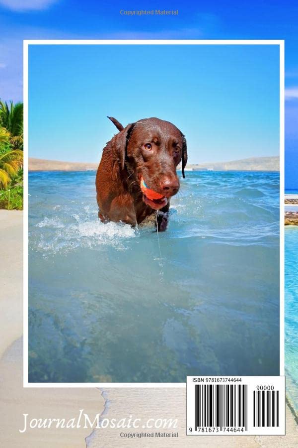 Chocolate Labrador Notebook: The COLOR Notebook For Dog Lovers (Chocolate Labs Notebooks)