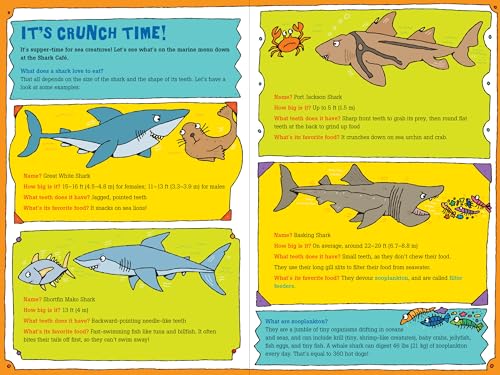100 Questions About... Sharks