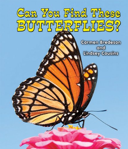 Can You Find These Butterflies? (All About Nature) - 8965