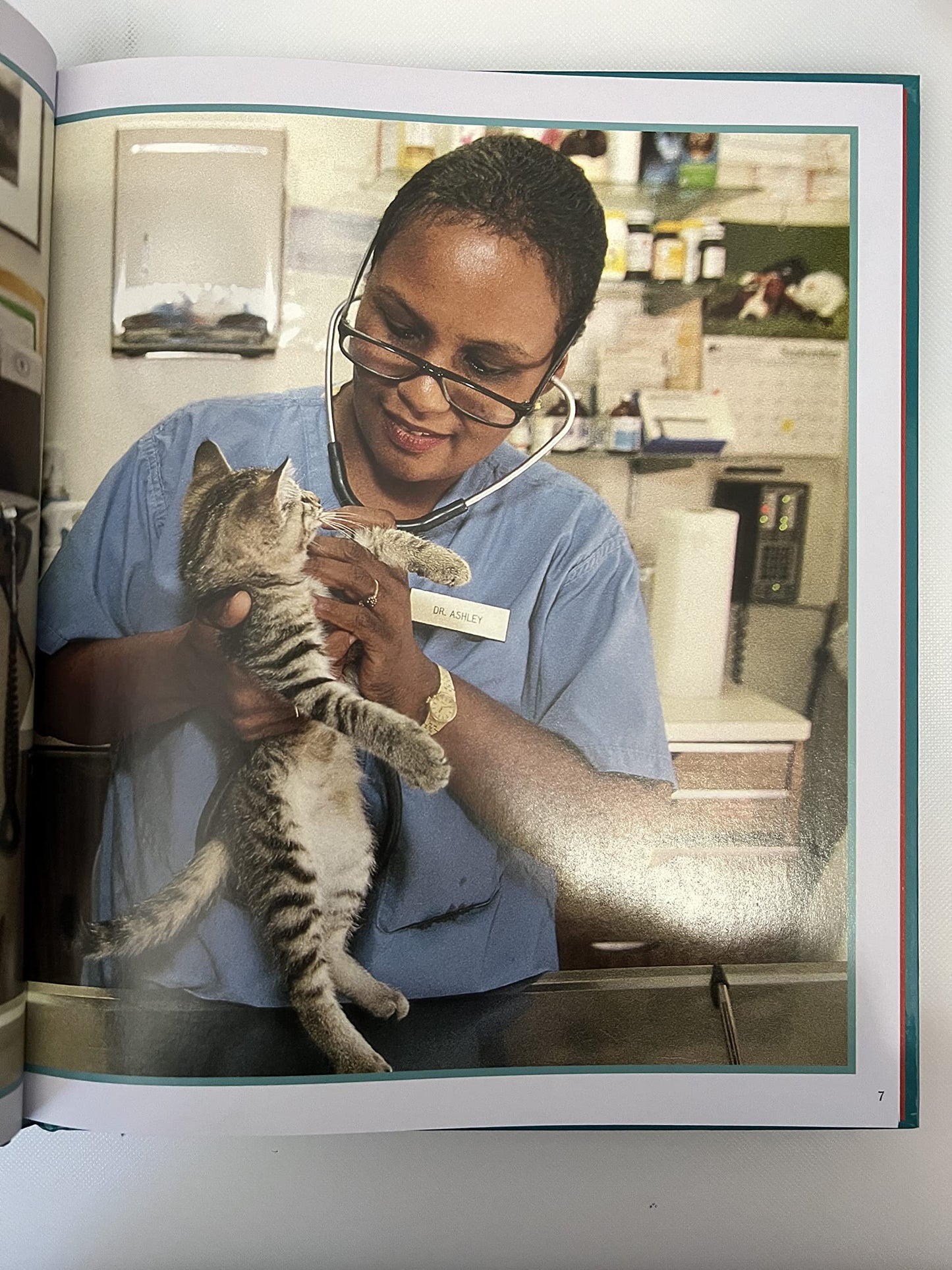 I Want to Be...a Veterinarian (I Want to Be... Series)