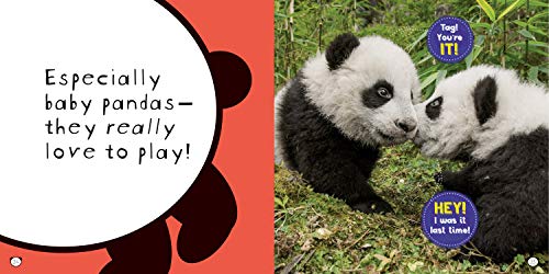 So Cute! Pandas (Cool/Cute)