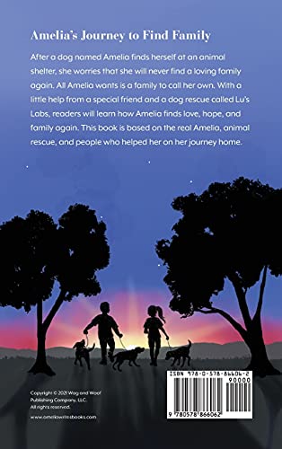 Amelia's Journey to Find Family