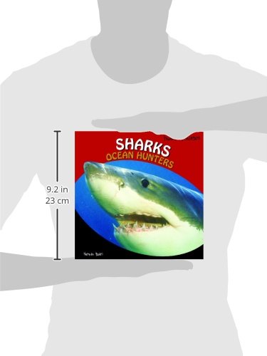 Sharks: Ocean Hunters (Powerful Predators) - 8532