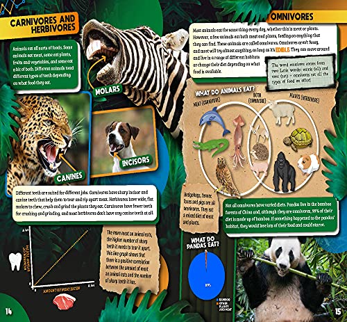 Animals (Smart Charts)