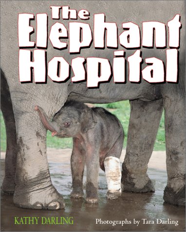 The Elephant Hospital