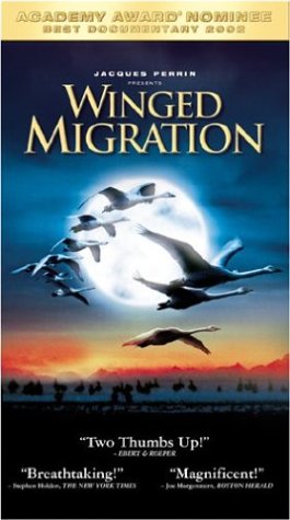 Winged Migration