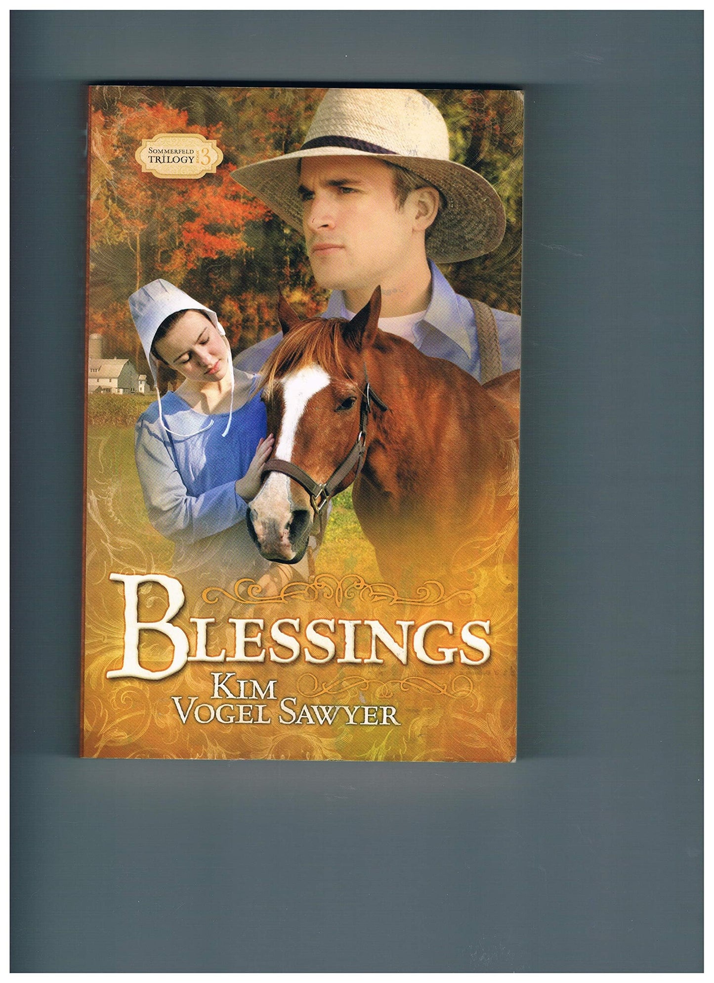 Blessings: Sommerfeld Trilogy #3 (Truly Yours Romance Club #19)