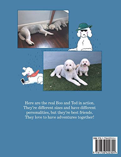 Boo and Ted's Amazing Adventures: Beach Rescue