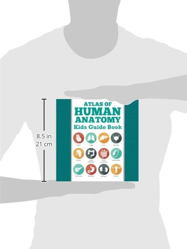 Atlas Of Human Anatomy: Kids Guide Book