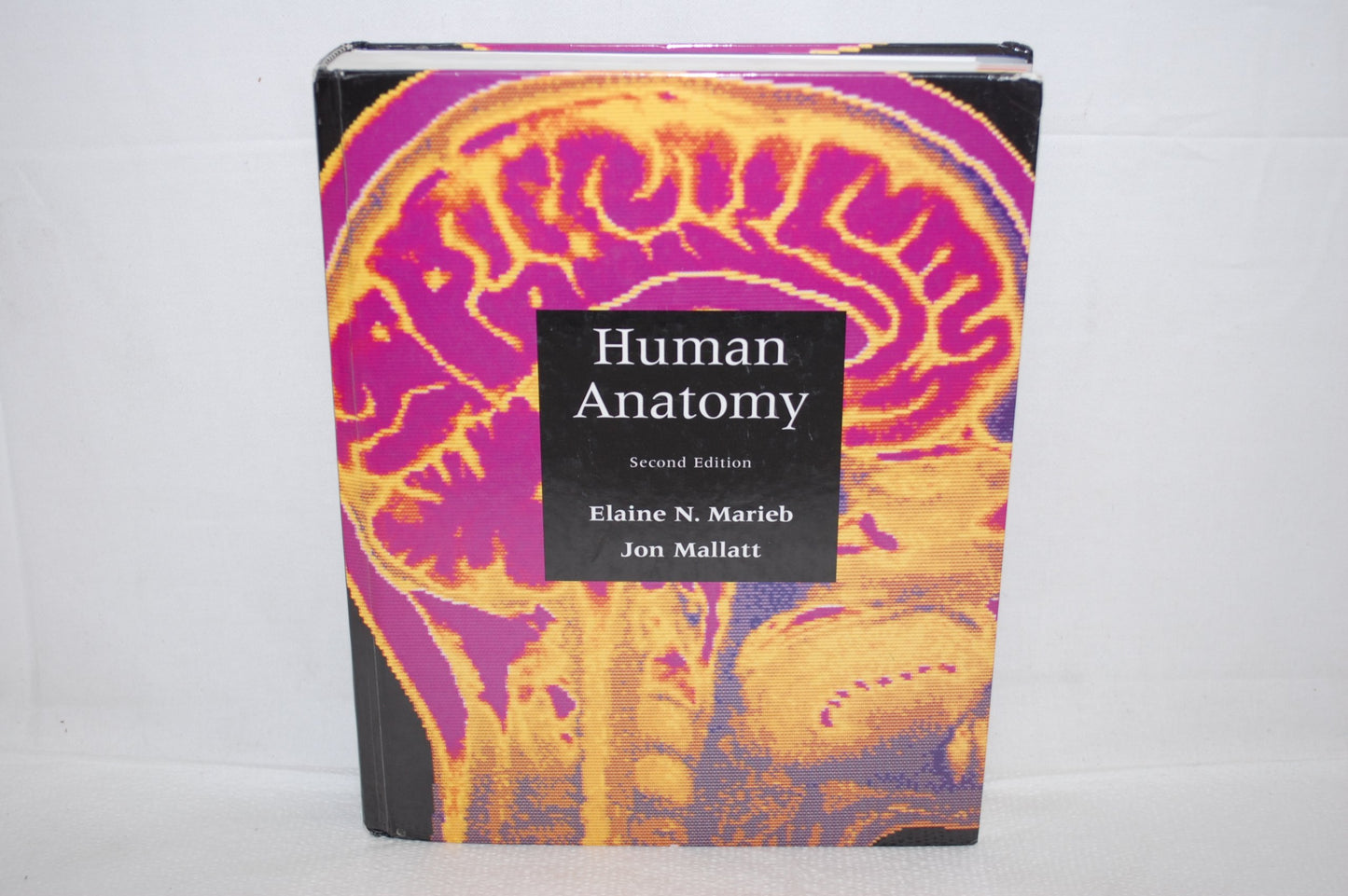 Human Anatomy