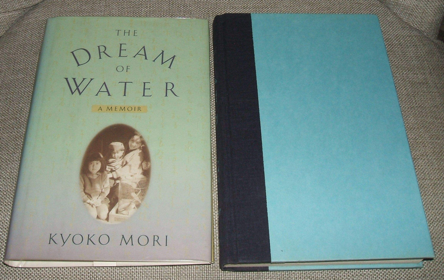 The Dream of Water: A Memoir
