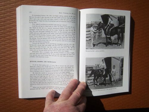 Basic Training for Horses (Doubleday Equestrian Library)