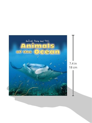 Animals of the Ocean (Animal Show and Tell)