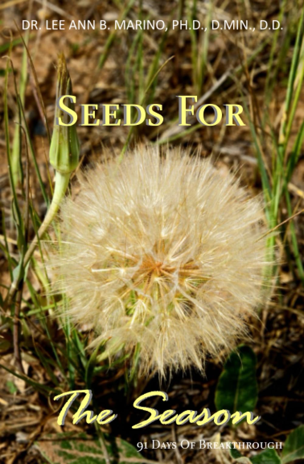 Seeds For The Season: 91 Days Of Breakthrough (Seeds for the Season Quarterly Devotionals)