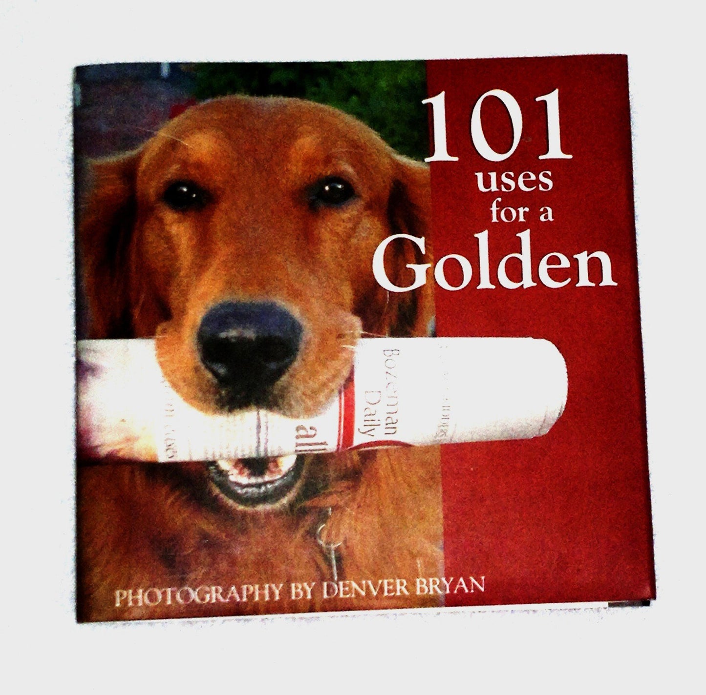 101 Uses for a Golden Retriever