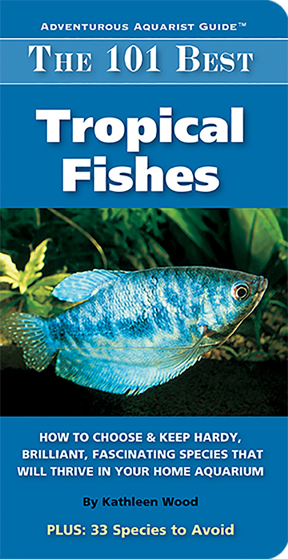 The 101 Best Tropical Fishes: How to Choose & Keep Hardy, Brilliant, Fascinating Species That Will Thrive in Your Home Aquarium (Adventurous Aquarist Guide) - 6998