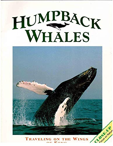 Humpback Whales: Traveling on the Wings of a Song (Close Up)