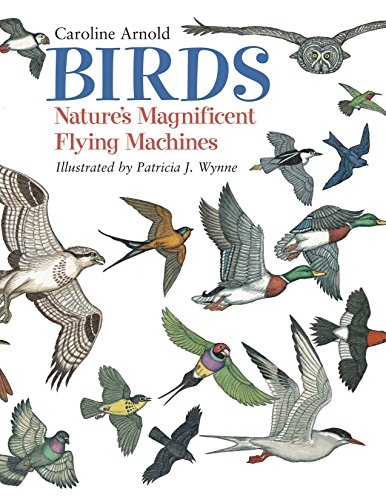 Birds: Nature's Magnificent Flying Machines - 2886