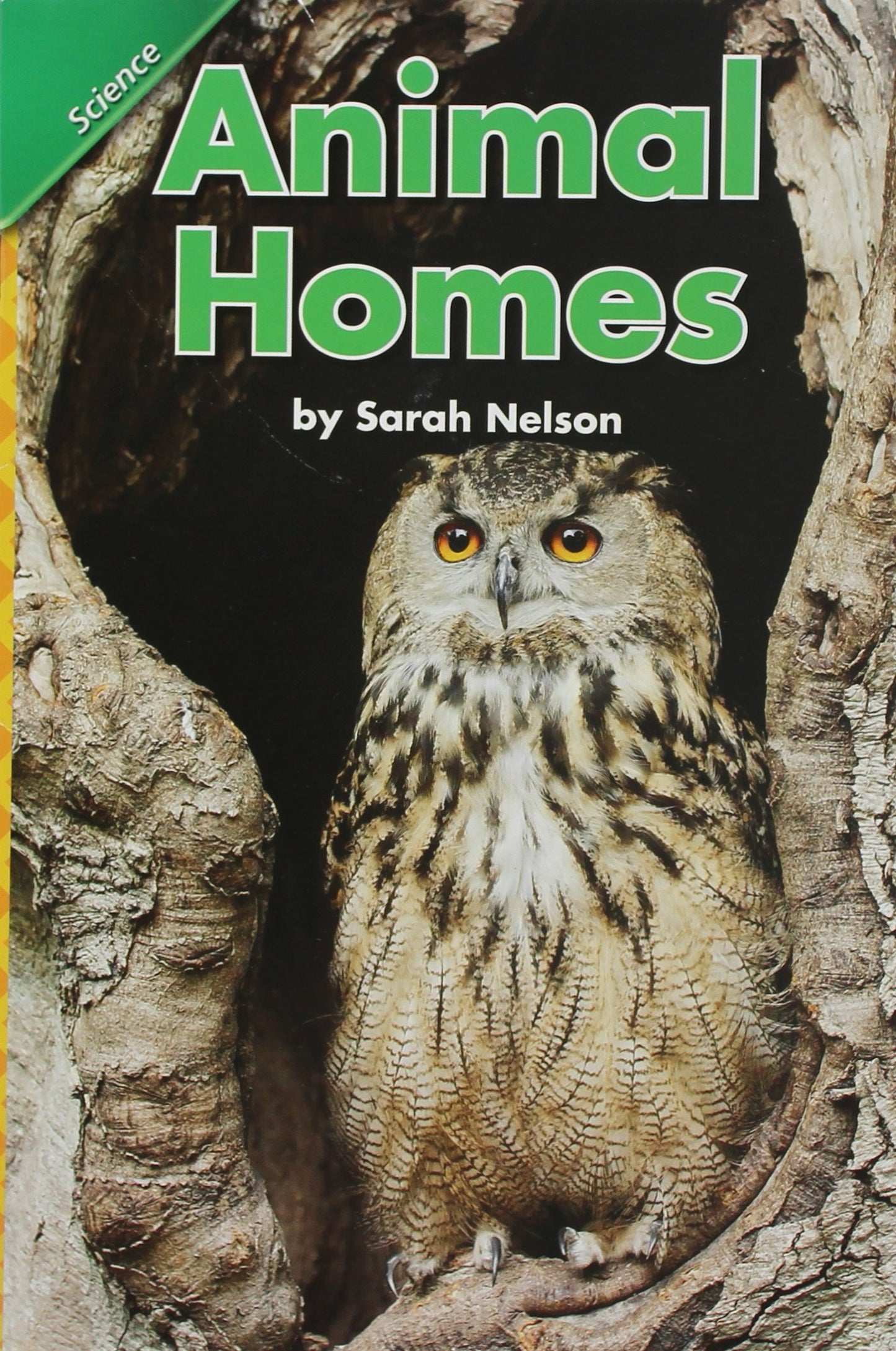 Reading 2008 Concept Literacy Leveled Reader Grade K.2.5 Animal Homes