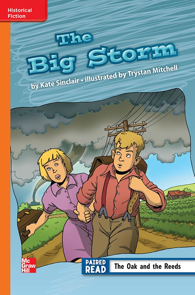 Reading Wonders Leveled Reader The Big Storm: Approaching Unit 6 Week 2 Grade 3 (ELEMENTARY CORE READING)