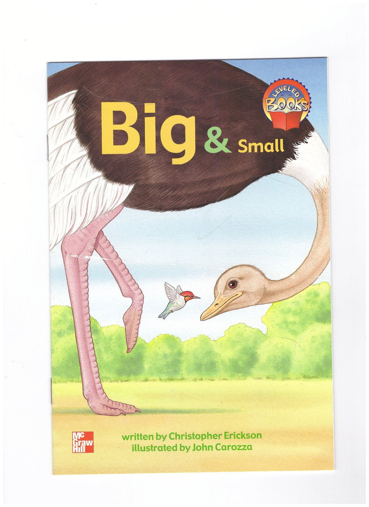 Big & Small (McGraw-Hill Reading, Leveled Books)