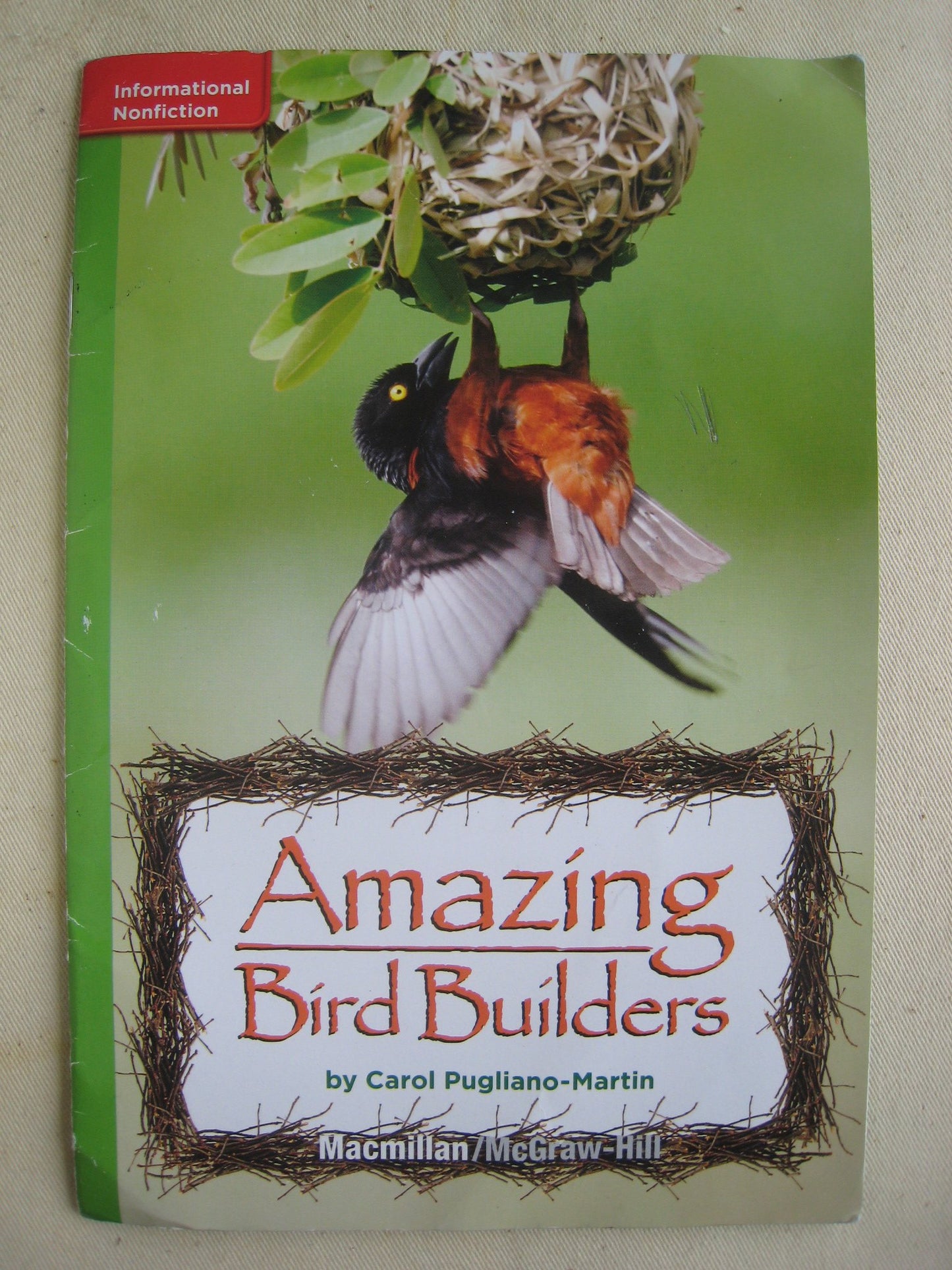 Amazing Bird Builders