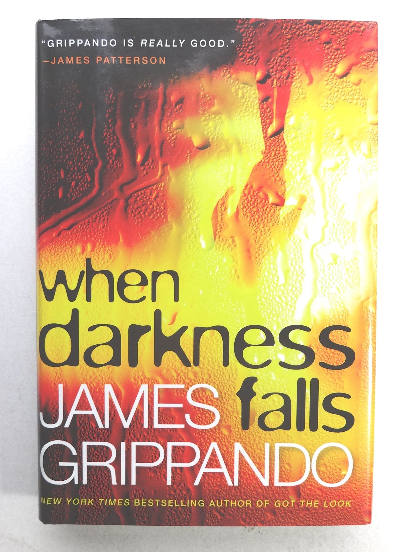 When Darkness Falls (Jack Swyteck Novel)