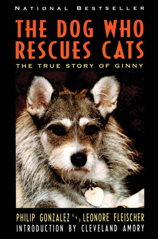 The Dog Who Rescues Cats: True Story of Ginny, The – An Inspiring Memoir About a Disabled Man Finding Purpose Through a Shelter Dog's Sixth Sense