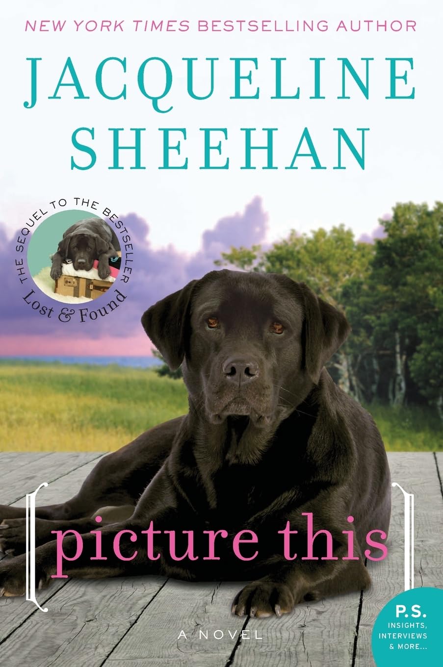 Picture This: A Young Widow Rebuilds on Peaks Island with Her Black Lab―Until a Paternity Mystery Threatens Her Budding Romance