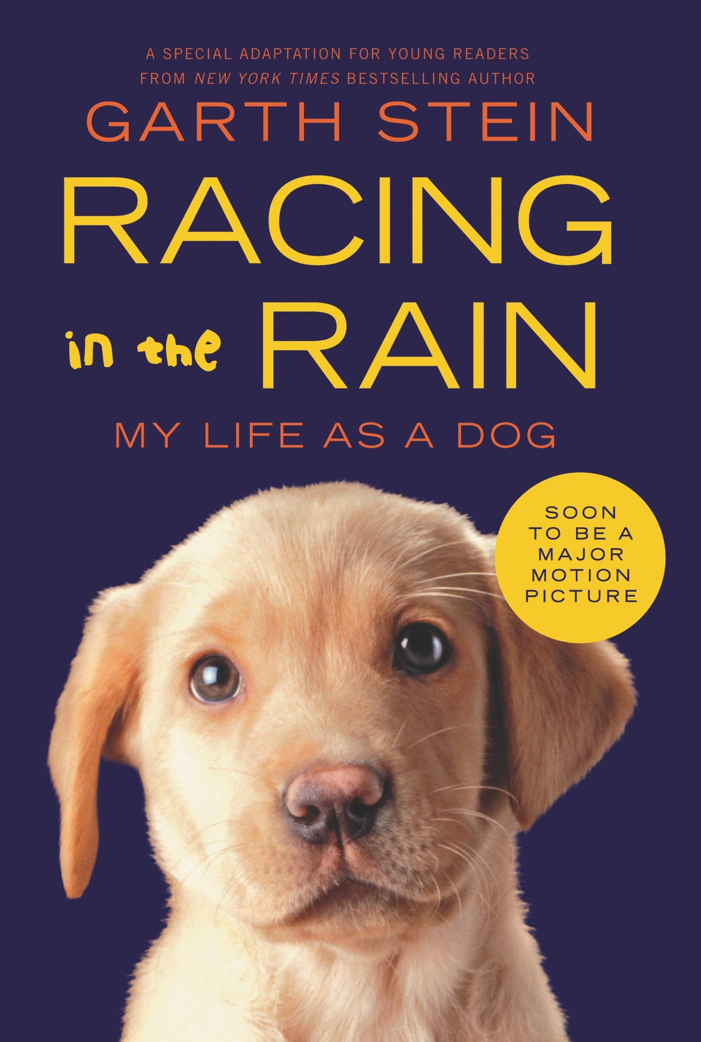 RACING IN THE RAIN: MY LIFE AS A