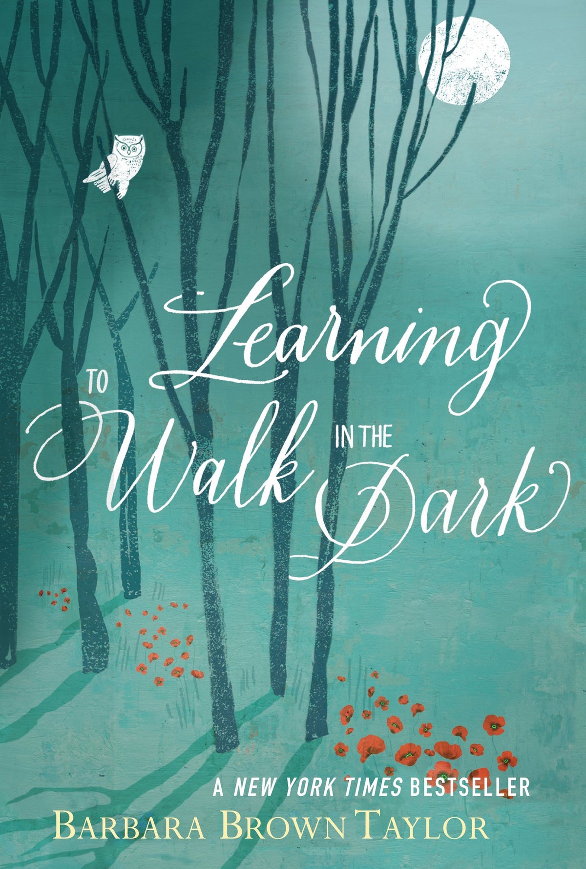 Learning to Walk in the Dark: A Study of Spiritual Growth Through Darkness