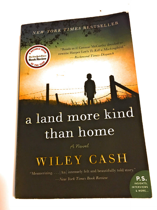 A Land More Kind Than Home: A Novel